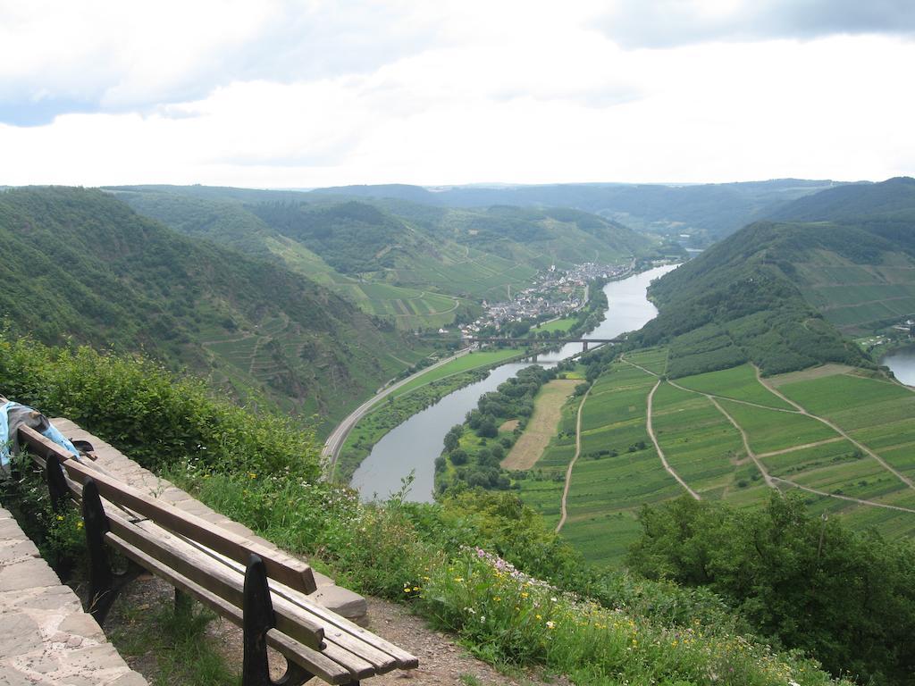 Haus Anna Villa Zell an der Mosel Luaran gambar